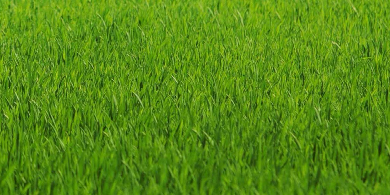 Mikebala27's profile banner image