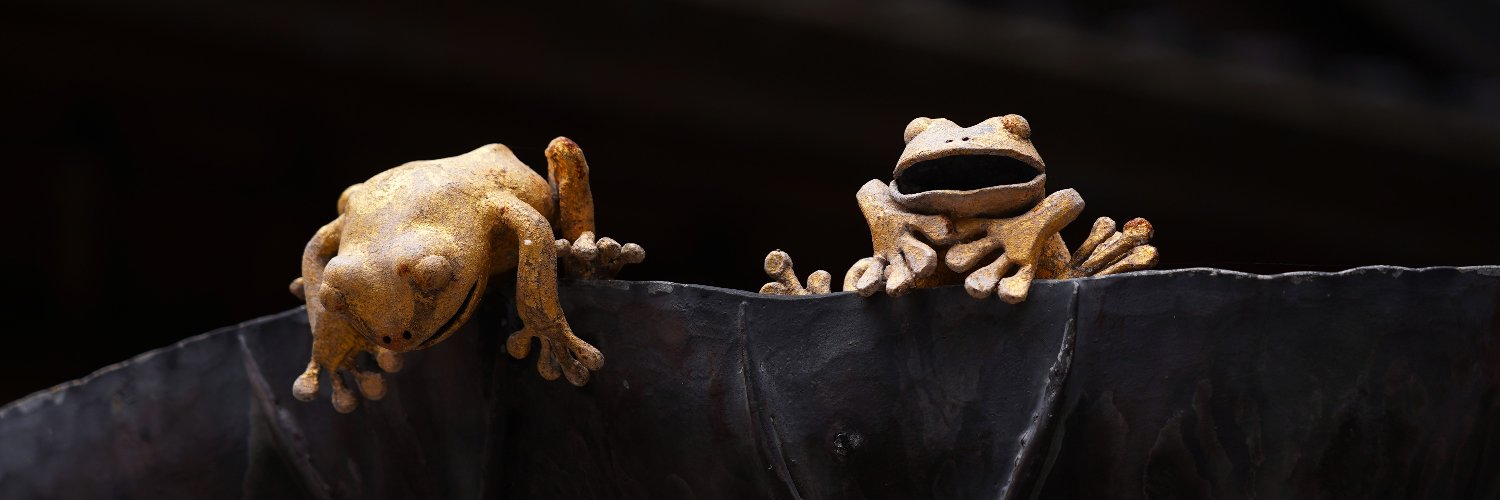nannpurefun's profile banner image