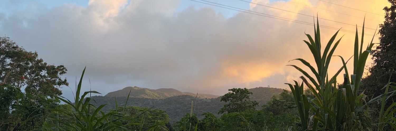 ruesjoint's profile banner image