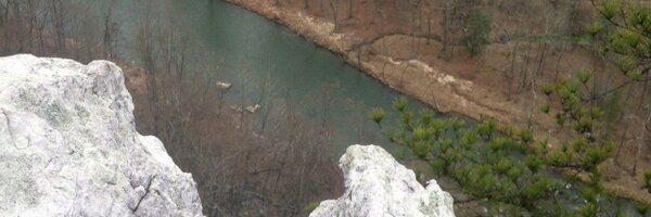 QuercusPrinus Profile Banner