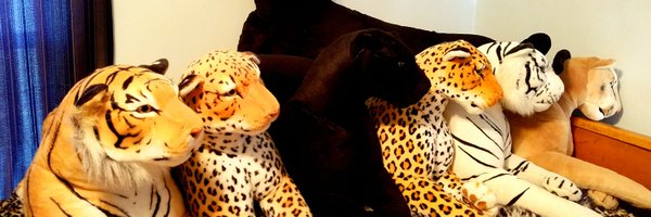 RaindropJaguar Profile Banner