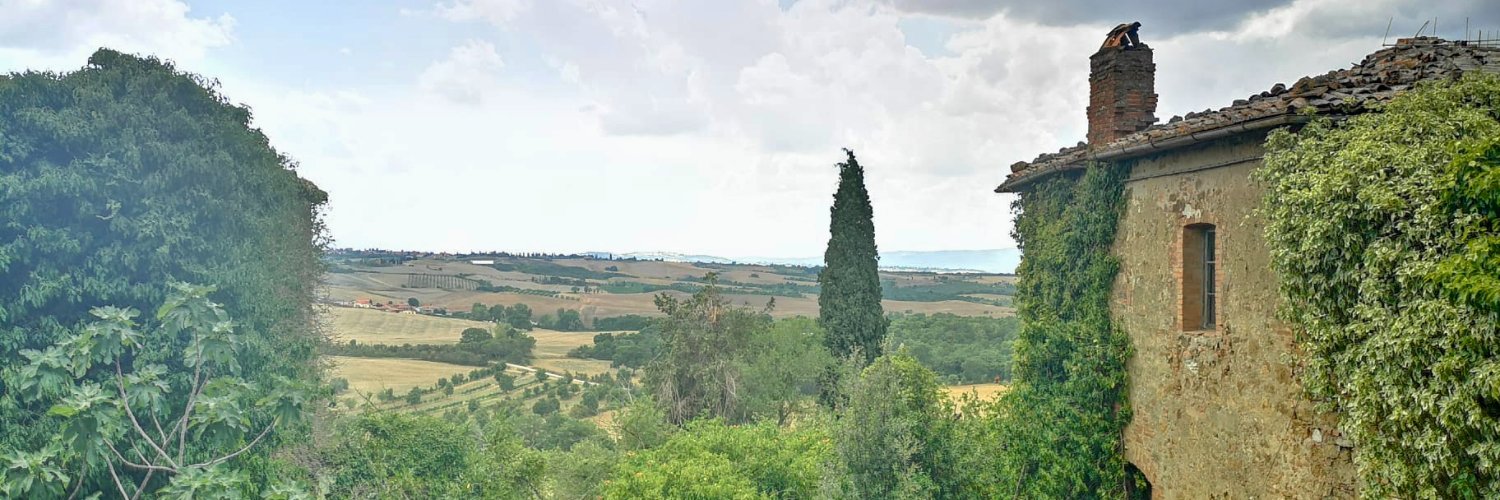 DenizSaltukoglu's profile banner image