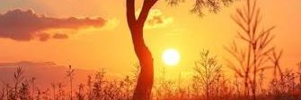 malaz_222's profile banner image