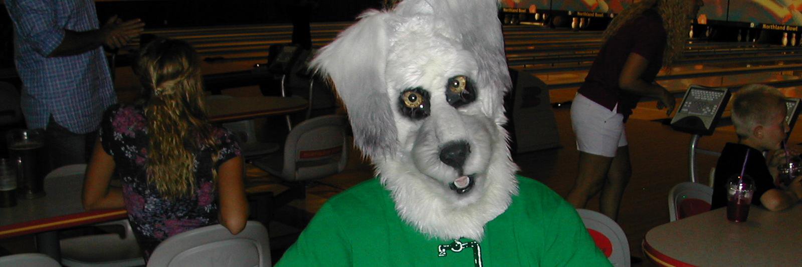 shadowbandit19's profile banner image