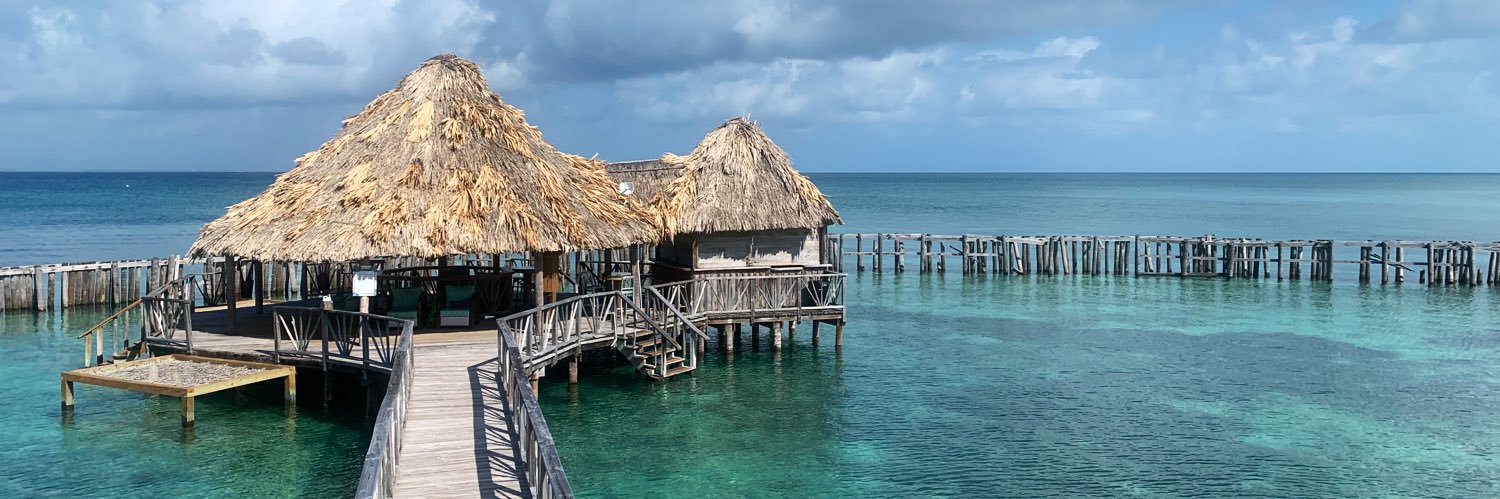 Shannon Cherie banner