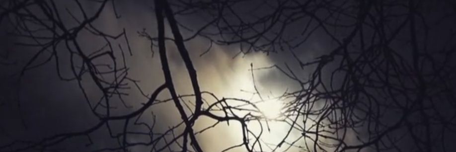 haus_Dimitrescu's profile banner image
