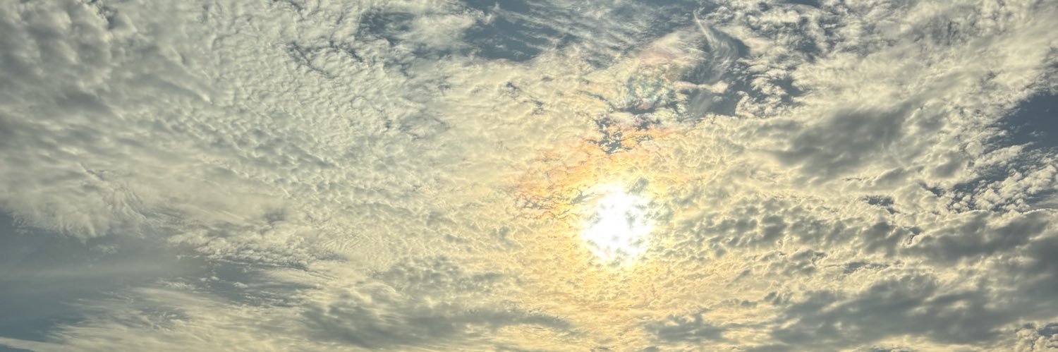 MelRomo23's profile banner image