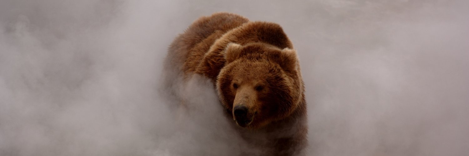 BearlyLogic_'s profile banner image