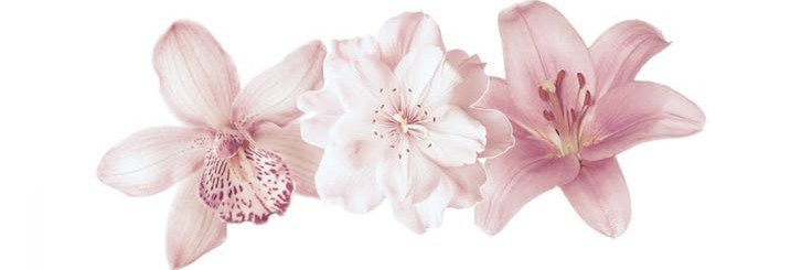 kiosbw's profile banner image