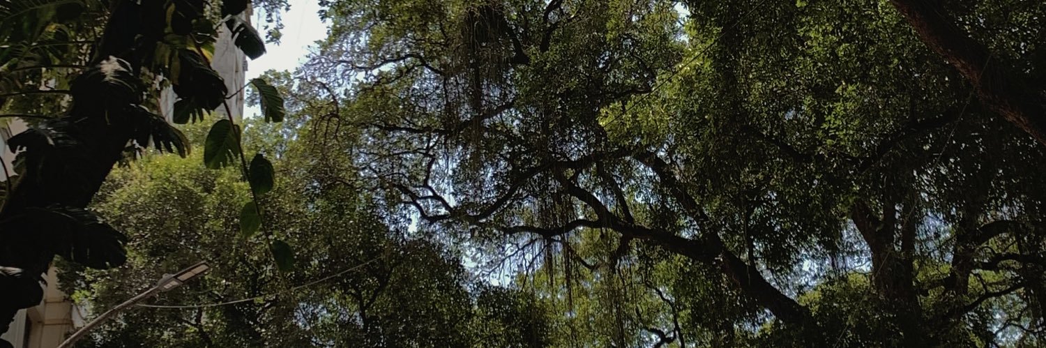 BoujeeLet's profile banner image