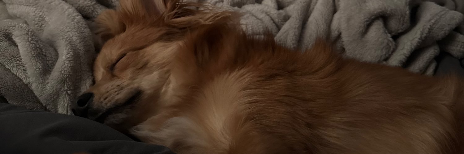 tamayoo_'s profile banner image