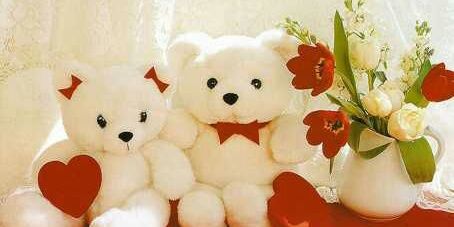 Mir_Rafi's profile banner image