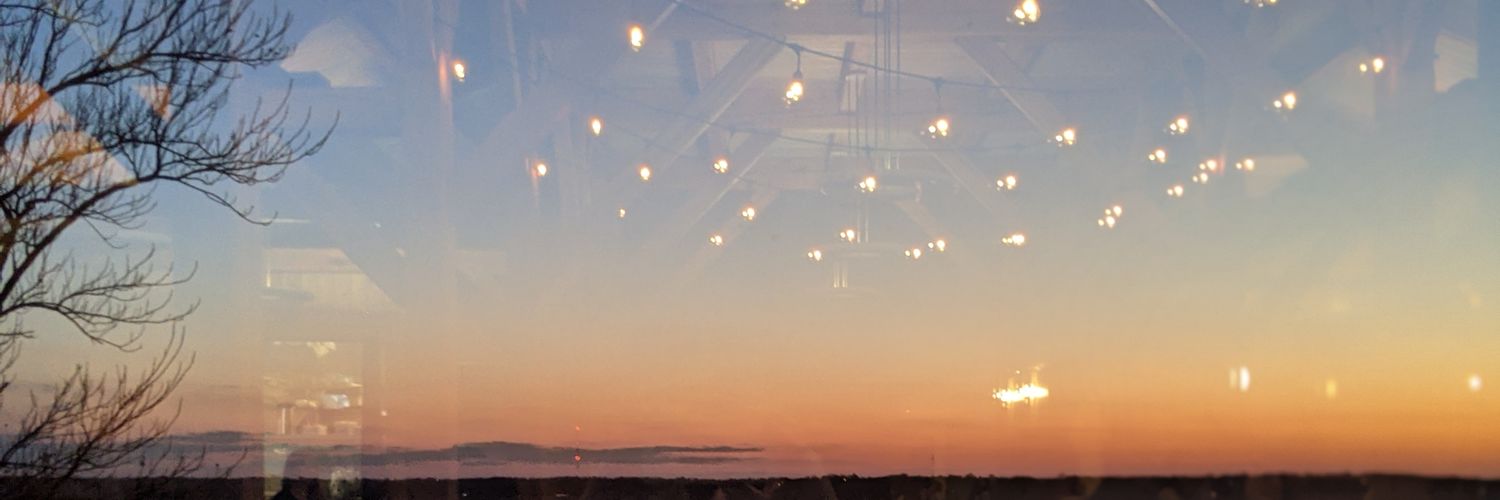 Chandrika Collins banner