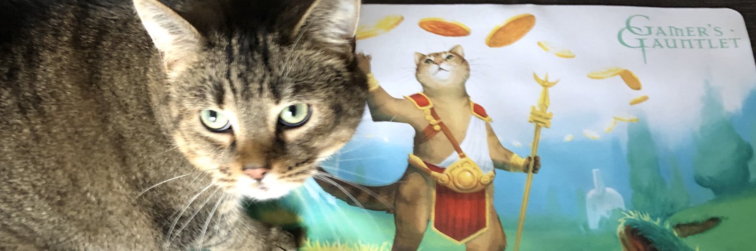 CatosaurusRex's profile banner image