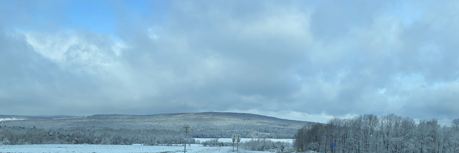 brittaneywagner's profile banner image