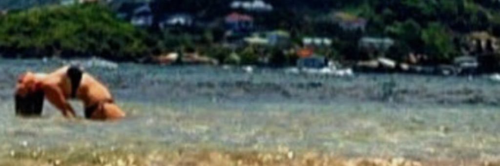 aestearnes's profile banner image