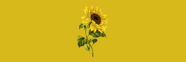 DoubleDJ321's profile banner image