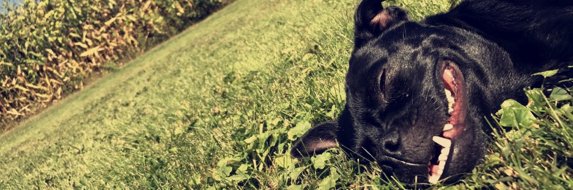 katttteeeee00's profile banner image