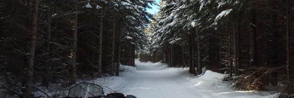 CAlexanderN Profile Banner