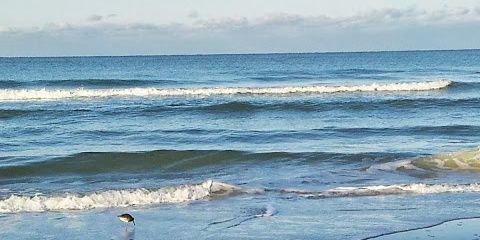 ChristaFalk's profile banner image