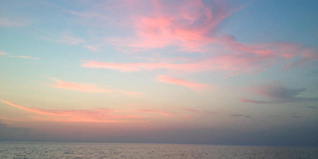 _sydneycarlson's profile banner image
