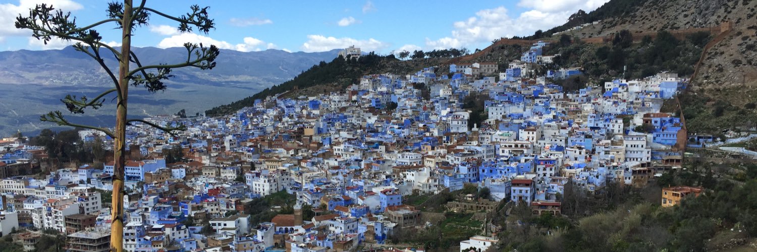 Milad Memari, MD, MS, MSEd. banner