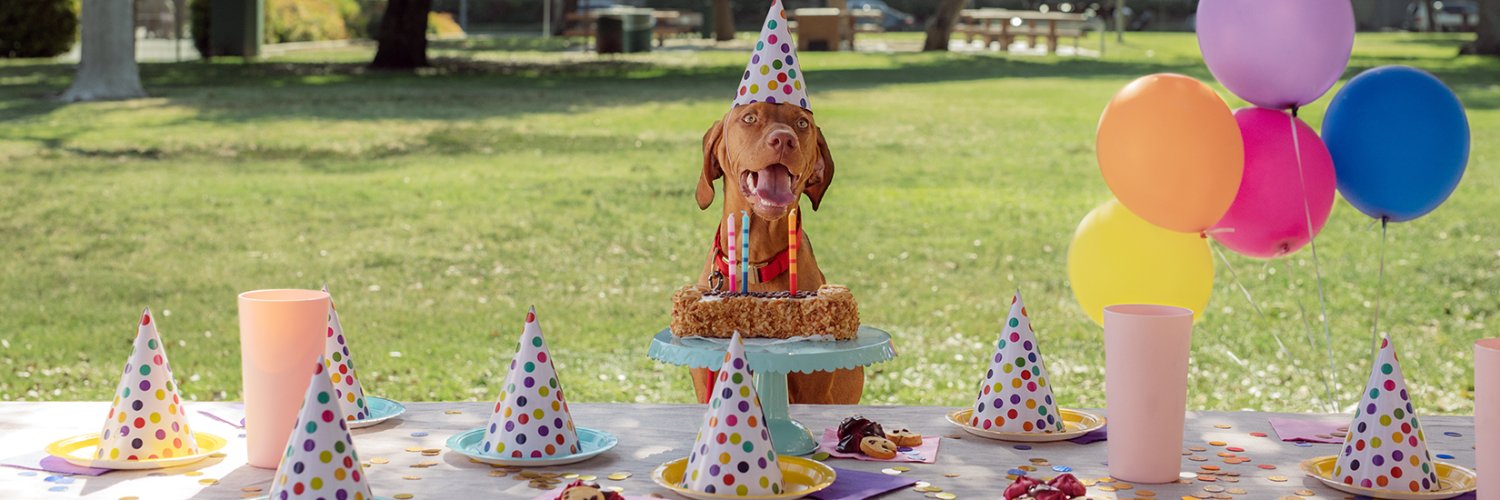 ThreeDogNews's profile banner image