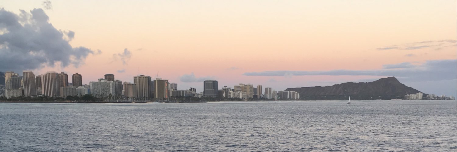 Pupofwallst's profile banner image