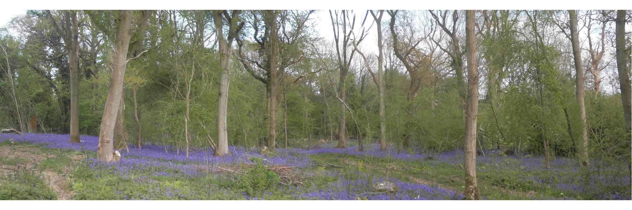 Eden Valley Burials banner