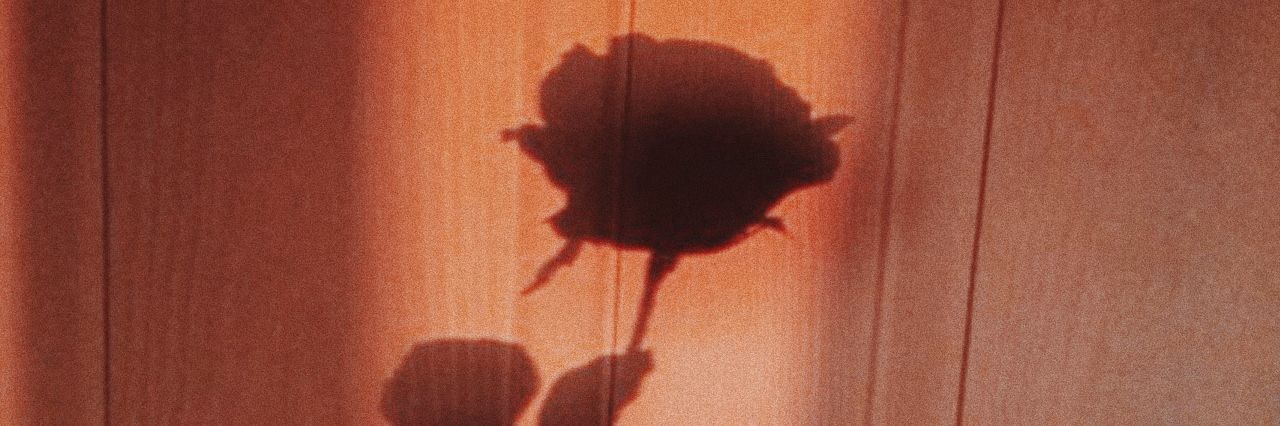 endlessmillie's profile banner image