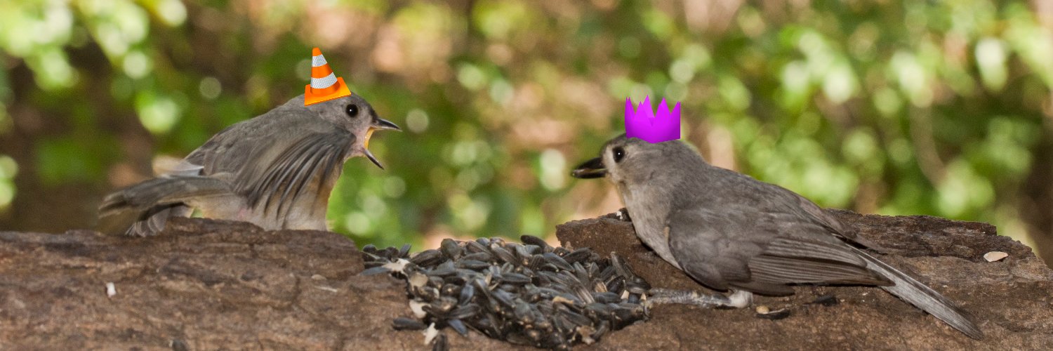 asoftbird's profile banner image