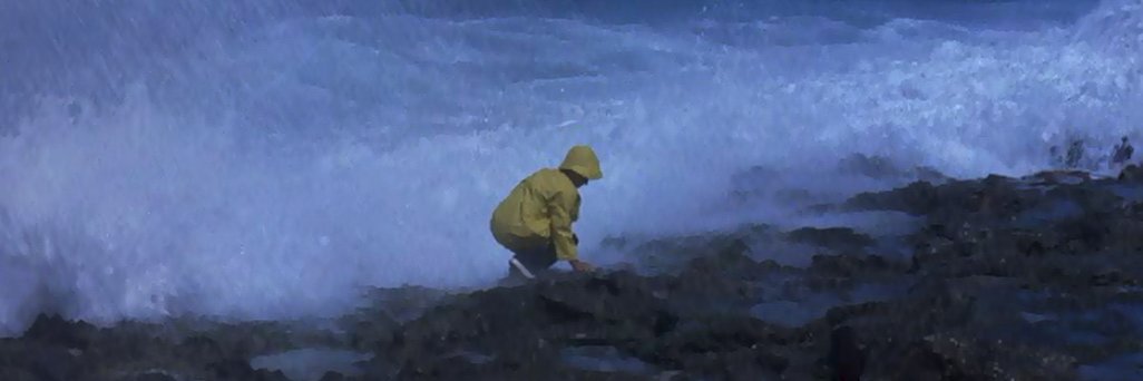 sandy_flipper's profile banner image