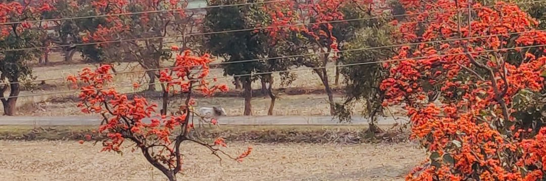 smitisharma3's profile banner image
