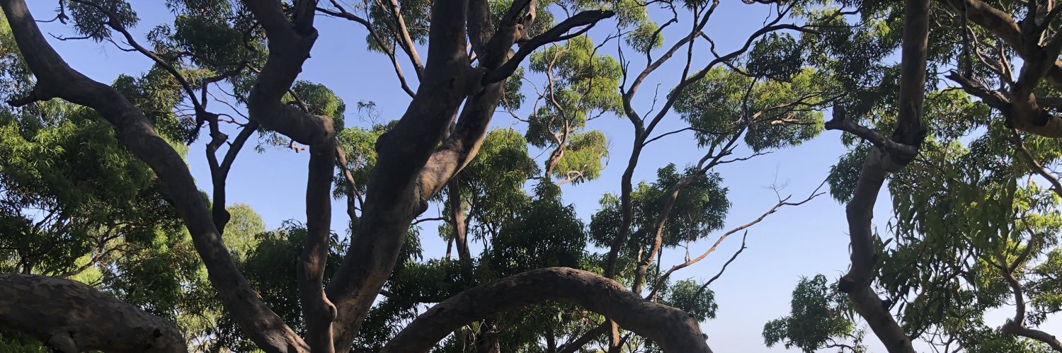 Isabelle Benton banner