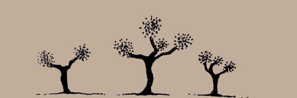 Nacleswaggin's profile banner image