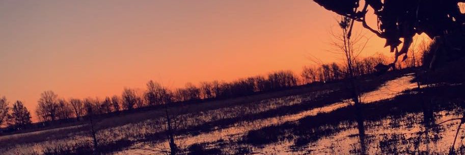 chase_cottrell's profile banner image