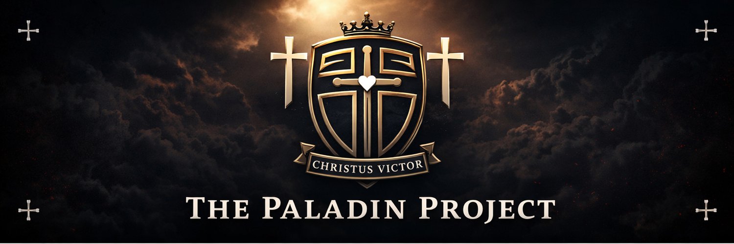 Paladin_Project's profile banner image