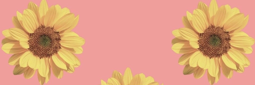 aureliammn's profile banner image