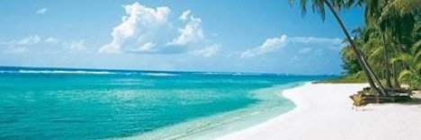 BuyDipShortRip's profile banner image