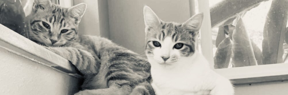 MarlyRoo13's profile banner image