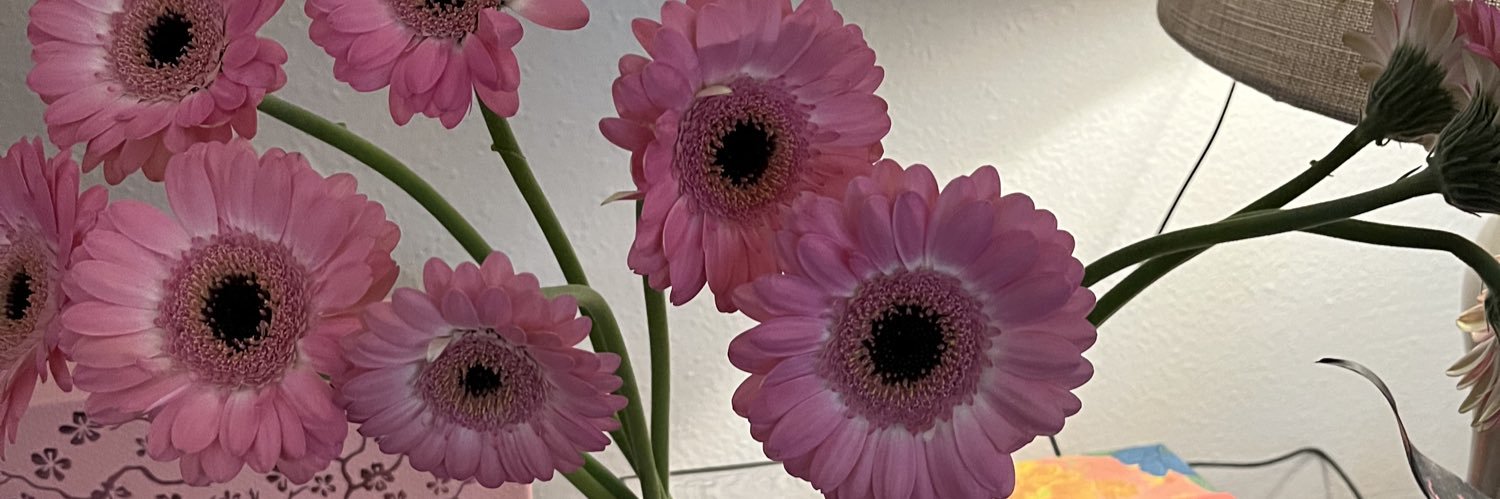 ellyay's profile banner image