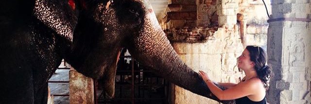 enoughaboutjess's profile banner image