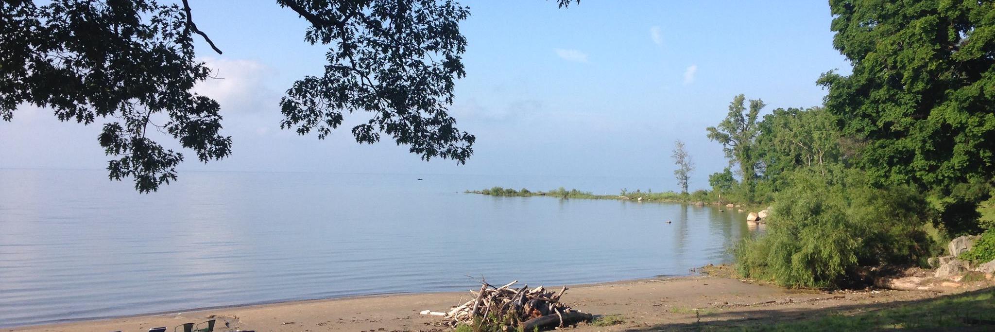 Dava Hamerling banner