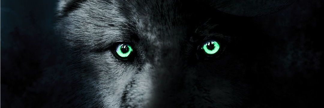 Hells_Grace's profile banner image