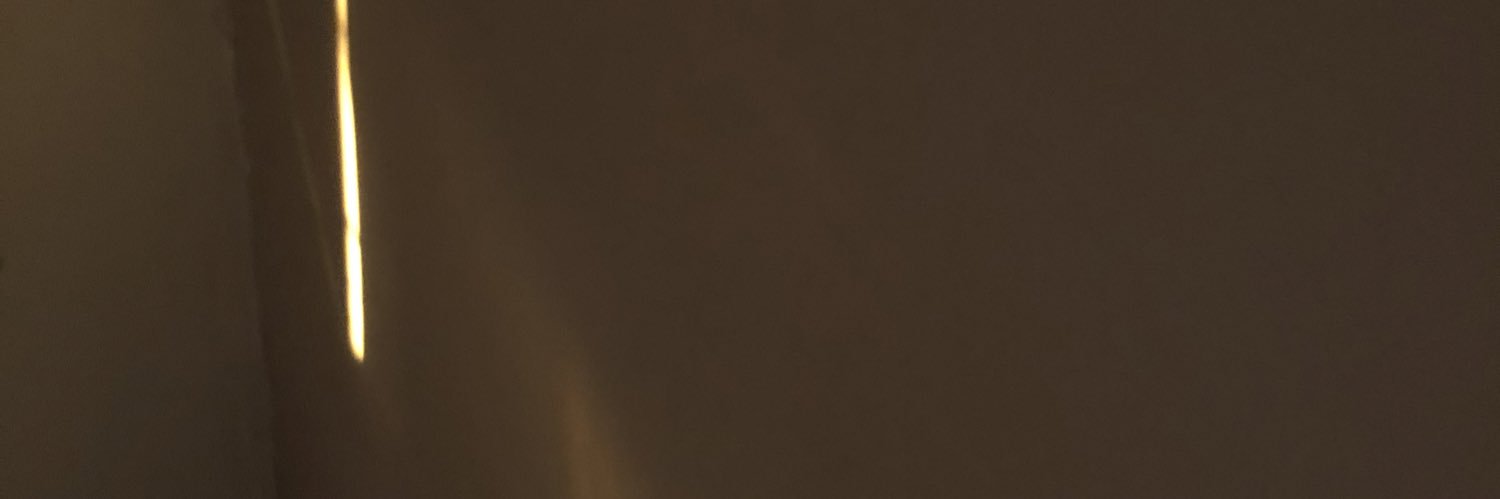 liamsDirectionx's profile banner image