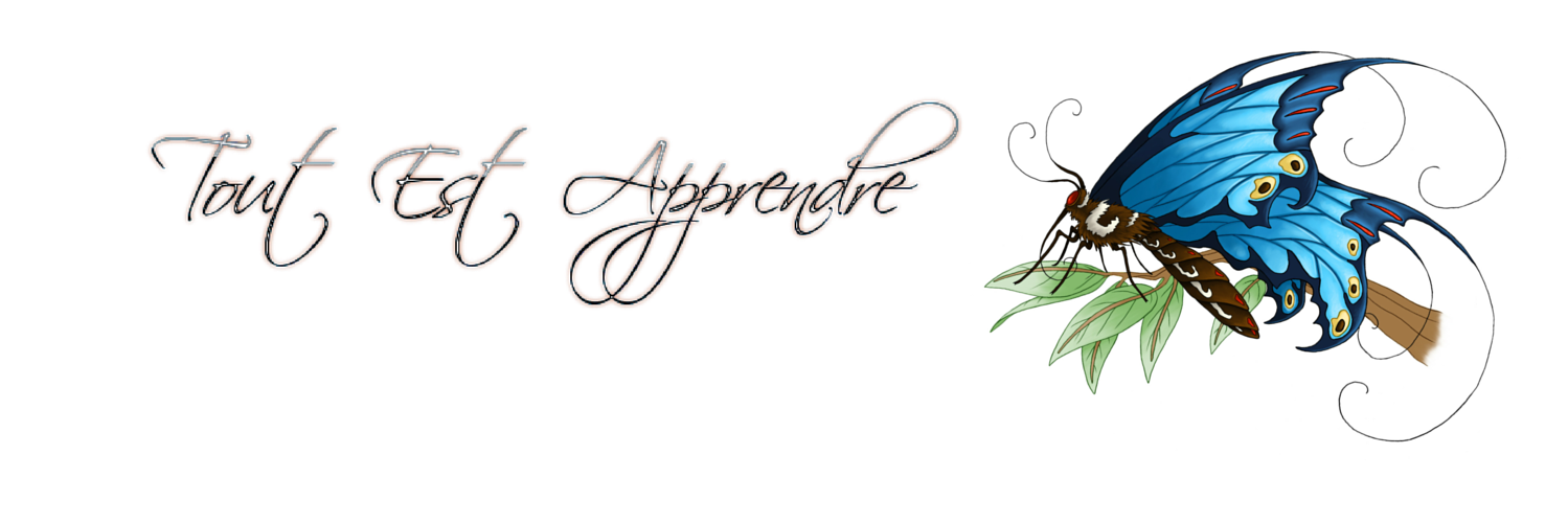 Ttestapprendre's profile banner image