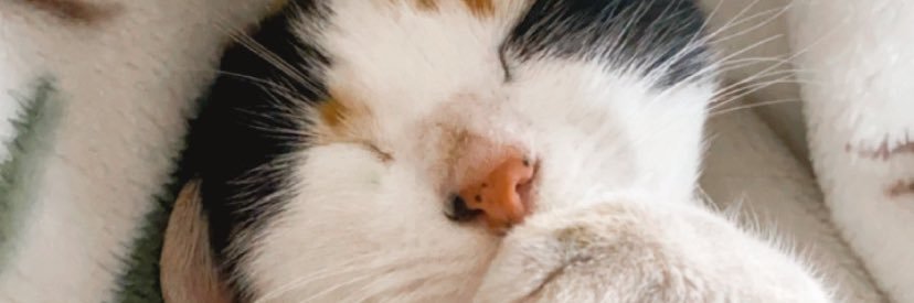 danielaaaav_'s profile banner image
