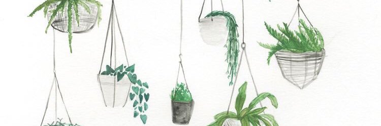 kl_johnson_'s profile banner image