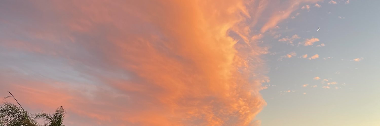 fexipeee's profile banner image