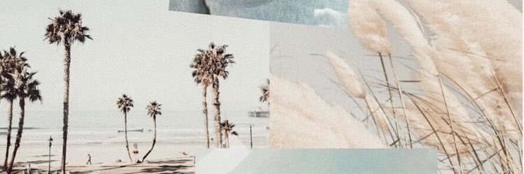 aimeepacker's profile banner image